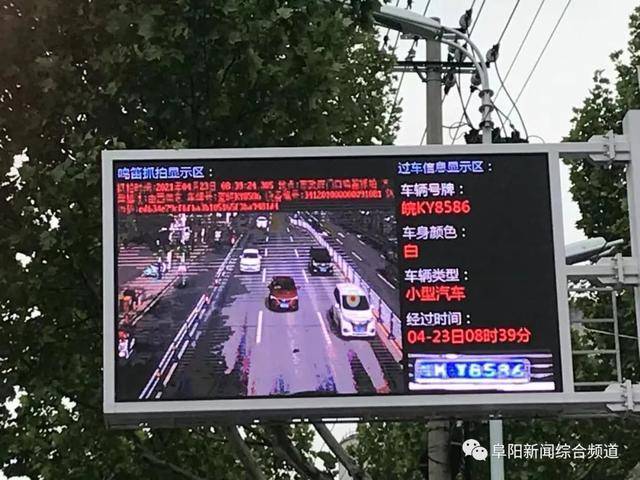无码专区免费看精彩高清无广告，畅享无限制，海量资源等你来