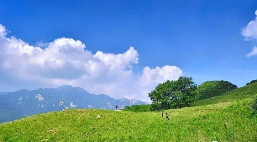 农村无码生活纪实，探索田园风光，感受淳朴民风与自然和谐共处