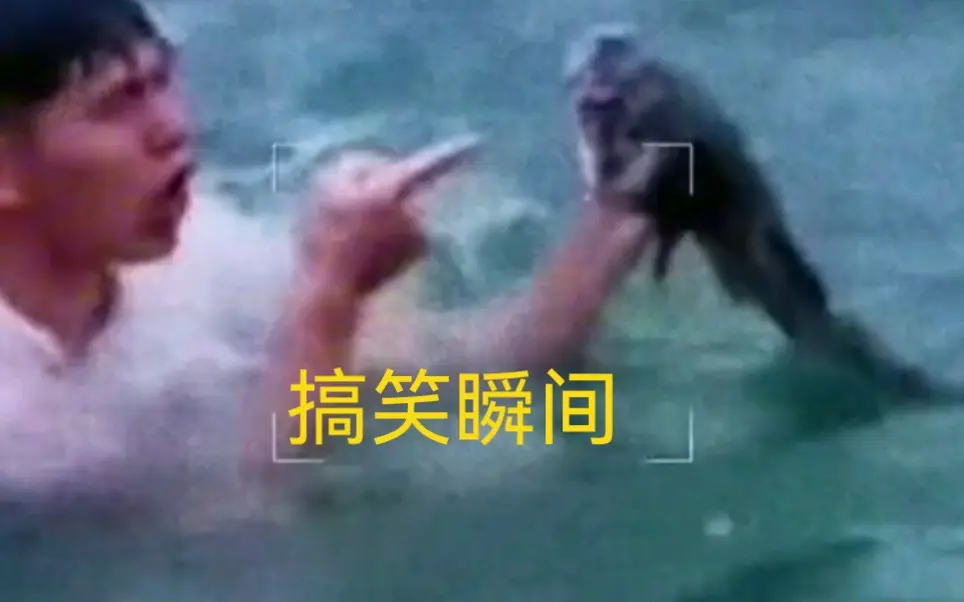嗟嗟嗟视频素材精选，搞笑瞬间合集，全网热门创意剪辑