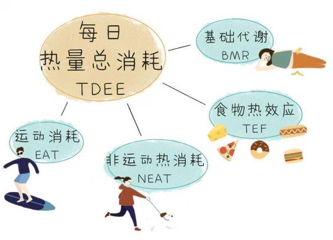 黑BBBBBB肥BBBBBB健身秘诀，快速增肌，高效减脂，打造完美身材