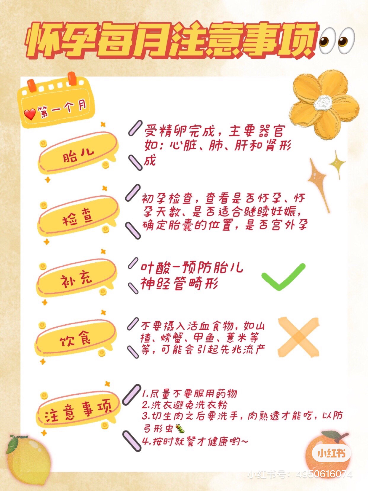 2.孕交注意事项，健康备孕技巧，科学受孕方法