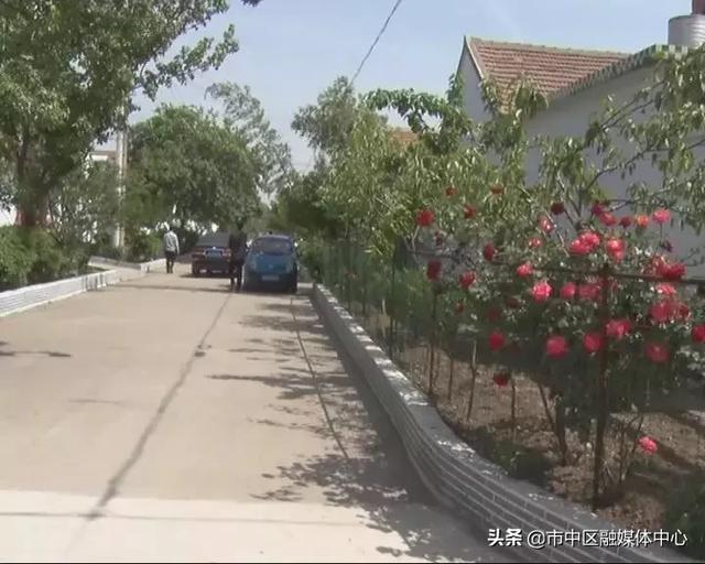 xxxhd农村浜焕新颜，探索乡村振兴新路径，打造生态宜居美丽乡村