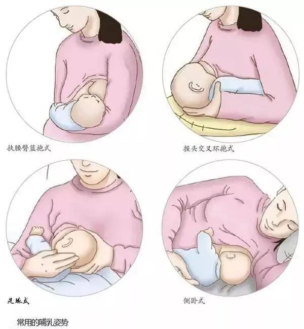 欧美人喂奶吃大乳的哺乳经验分享，健康饮食搭配，母乳喂养技巧解析