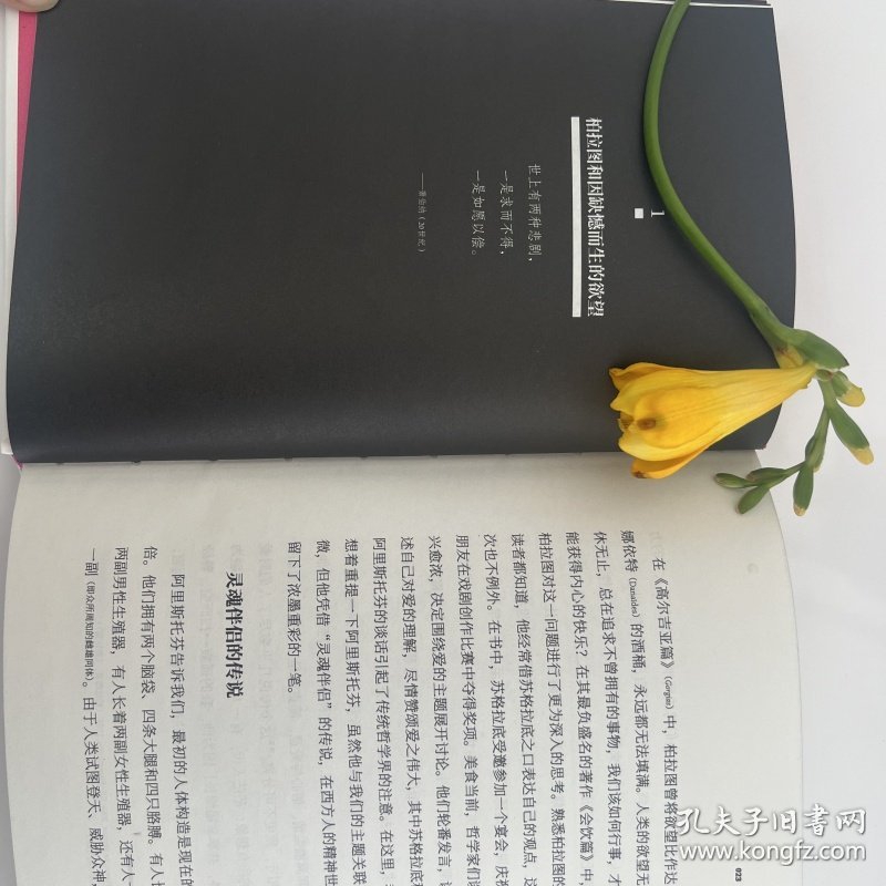 扒开腿挺进粉嫩小泬喷水小说浜，激情四溢的深夜阅读，探索隐秘欲望的文学世界