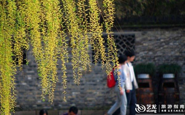 裸体瑜伽按摩摸一级片体验分享，探索身心放松，感受独特魅力，释放内在能量