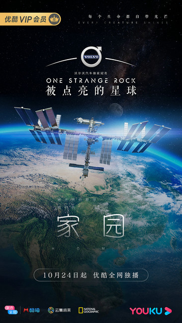 公牛AV震撼发布全新系列，探索极致体验，引领行业潮流