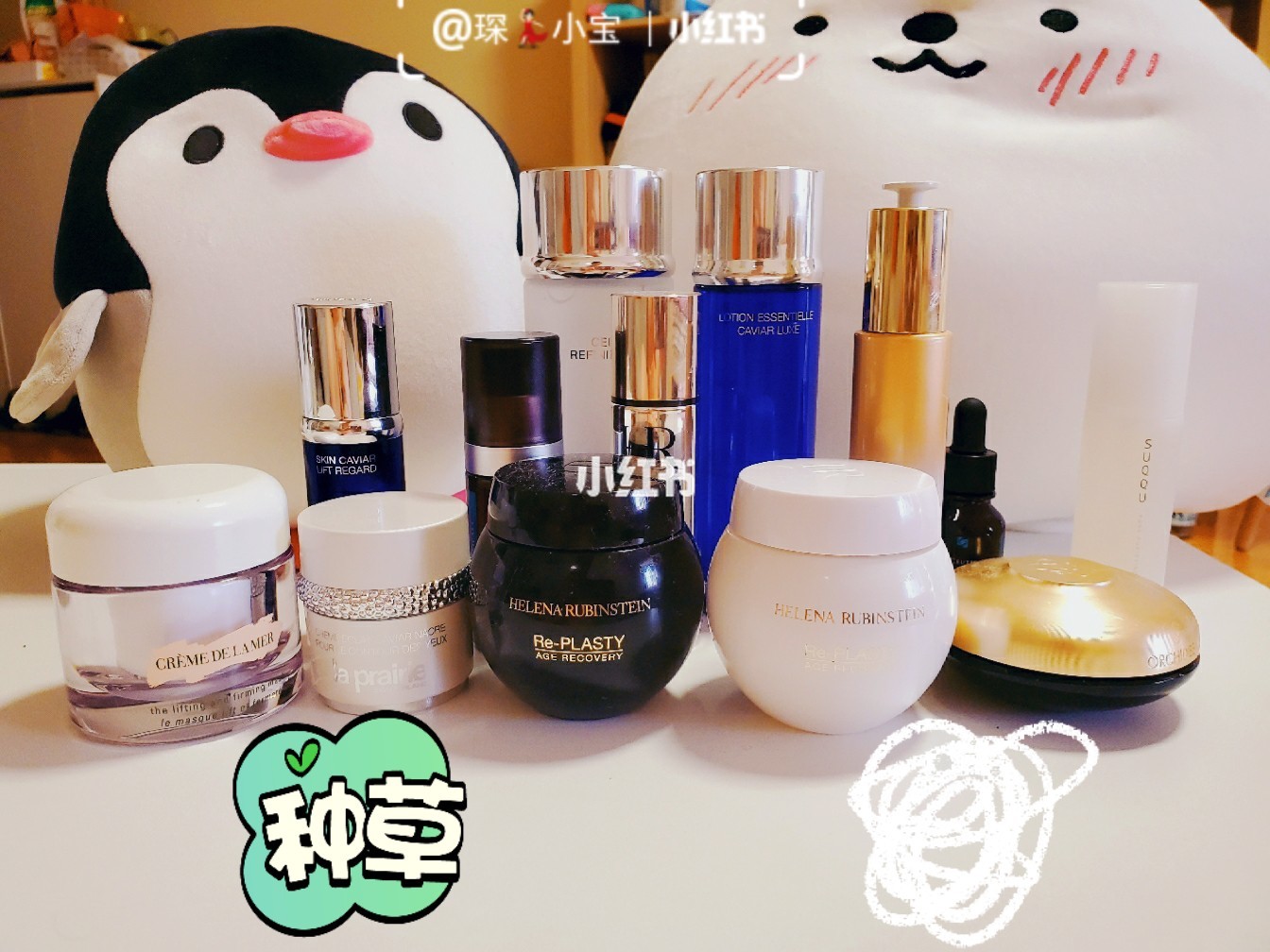 撸撸干撸撸草护肤秘籍，轻松解决干燥烦恼，焕发自然光彩