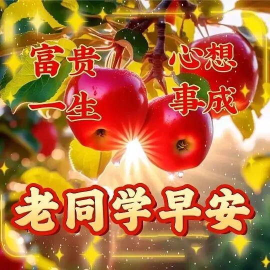 干老奶奶的晚年生活充满温暖与关怀，岁月静好，幸福安康，感恩每一天