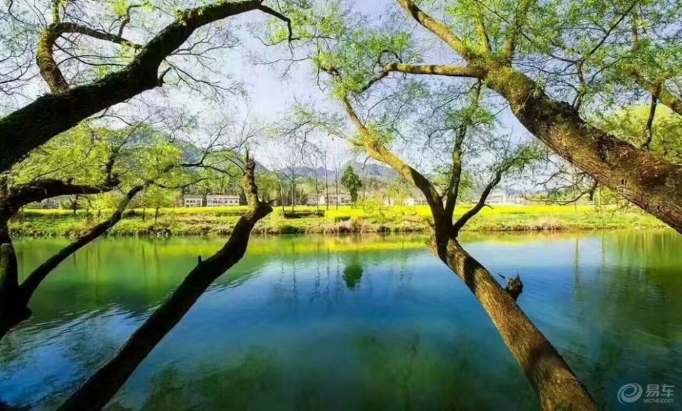 人人草在线引领潮流探索绿色生活新方式，共享自然之美，共创健康未来