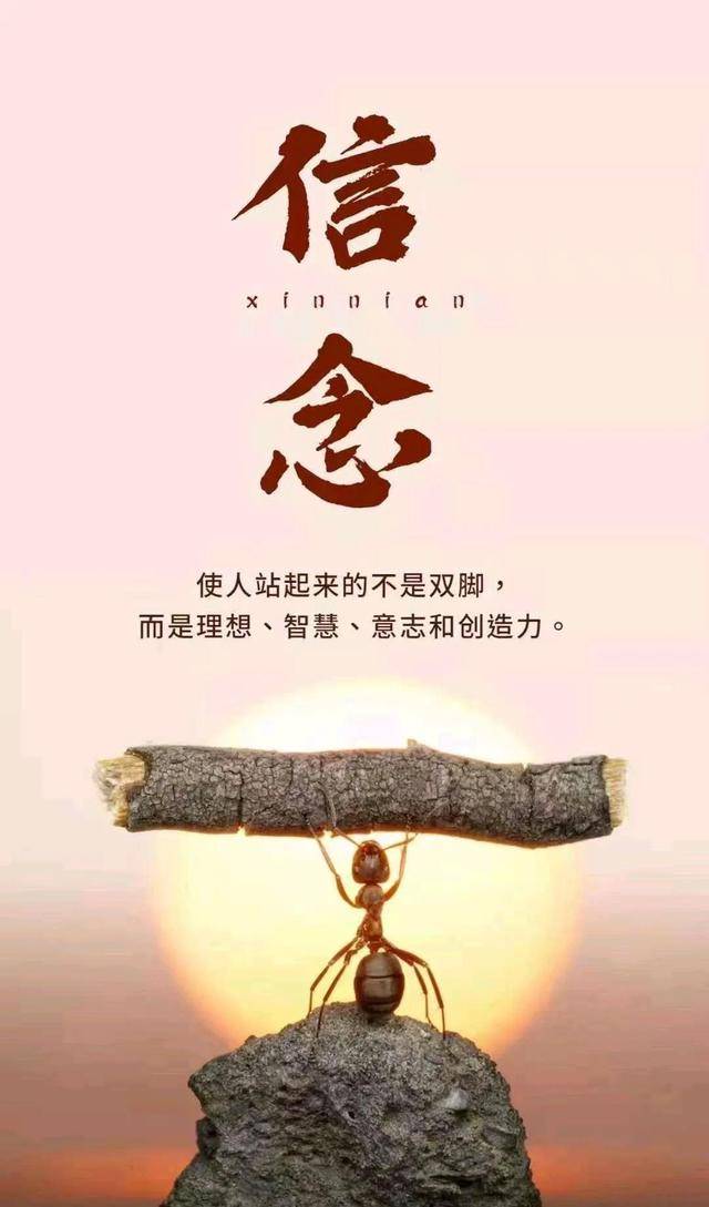 老妇的肉泬m48w挺进荒野求生，挑战极限，展现坚韧，突破自我，创造奇迹