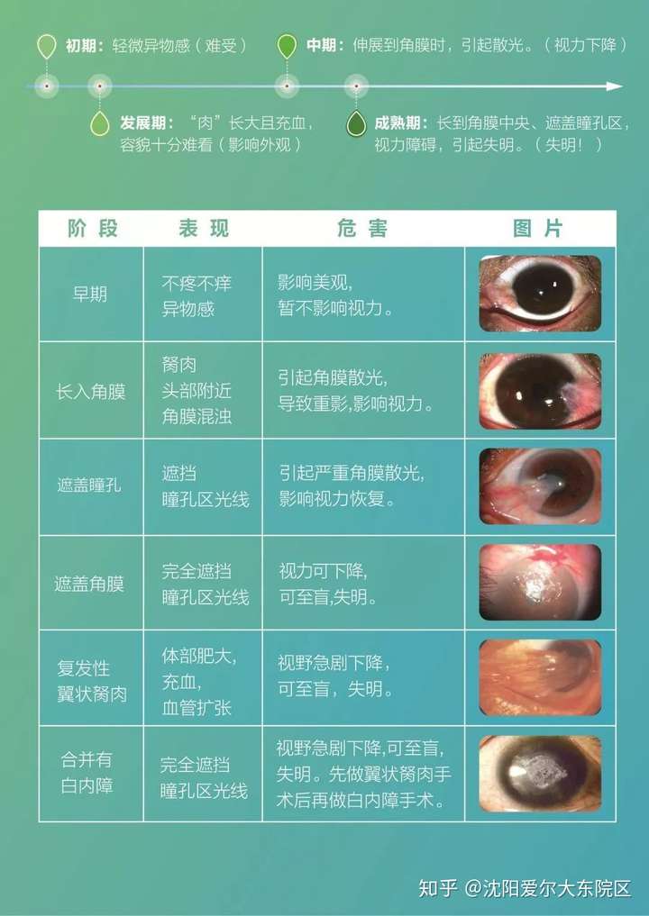 电影胬肉治疗在线播放浜免费观看最新高清资源，轻松获取，快速治愈