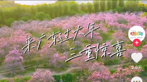 1.青草五月国产精品久久婷婷综合绽放