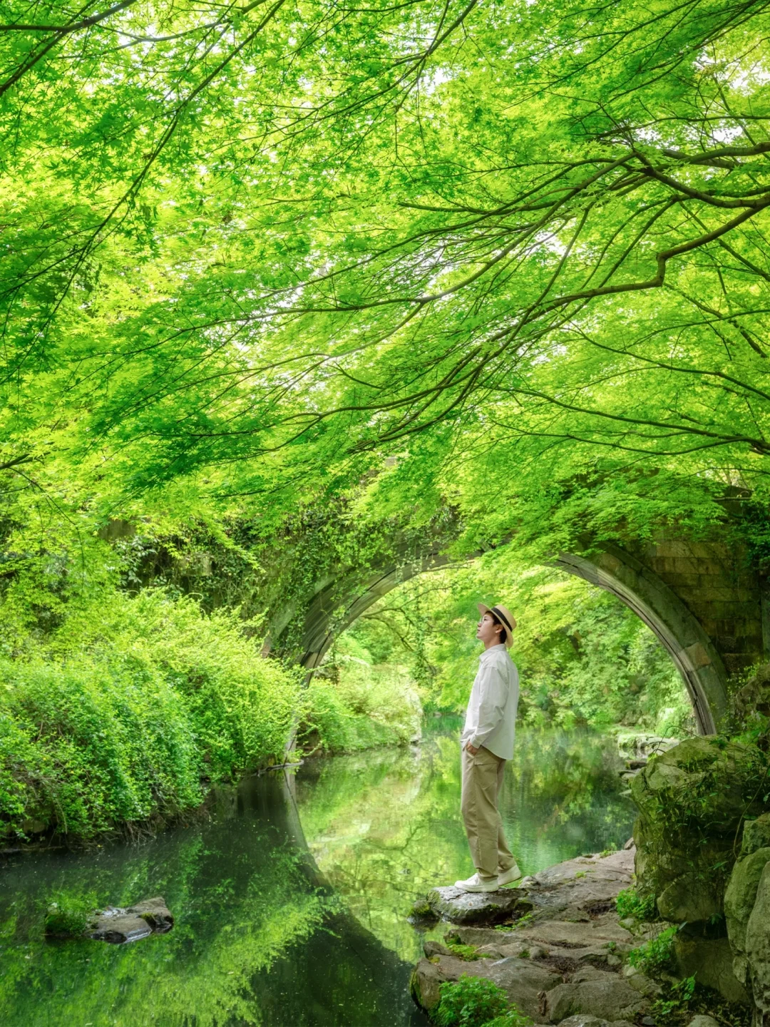 2.亚洲青青草，探寻绿意秘境，感受大地生机，拥抱自然芬芳