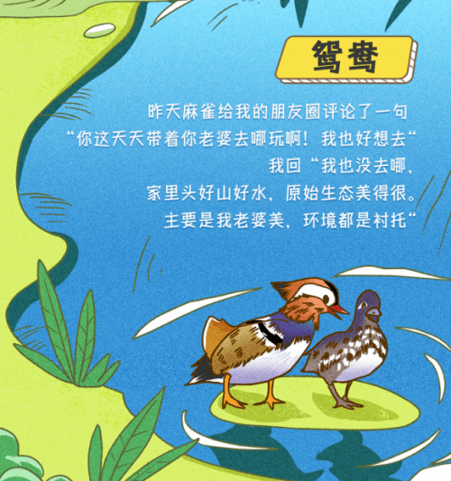 动物交配av在线观看高清视频，探索野生动物交配行为，了解自然繁衍奥秘