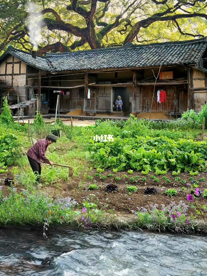 农村少妇内无套内谢视频真实记录，乡村生活片段，隐秘情感故事曝光
