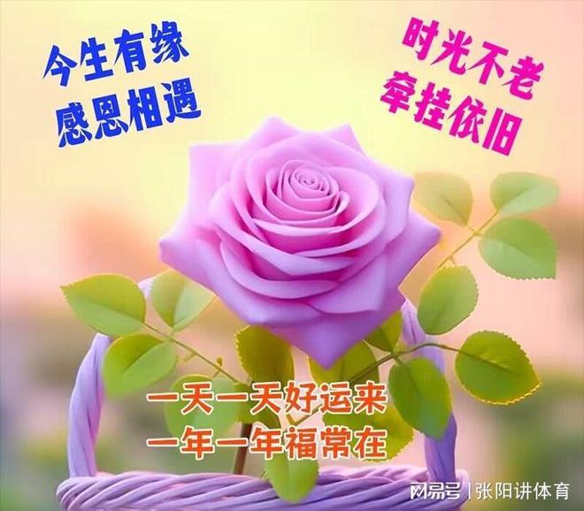 中国毛茸茸BB萌宠日常，可爱瞬间大集合，温暖你的每一天