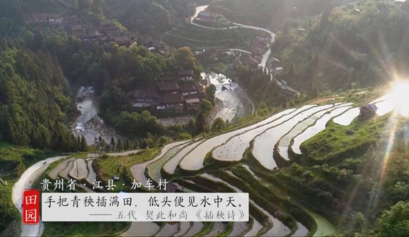 农村无码生活纪实，探索田园风光，感受淳朴民风与自然和谐共处
