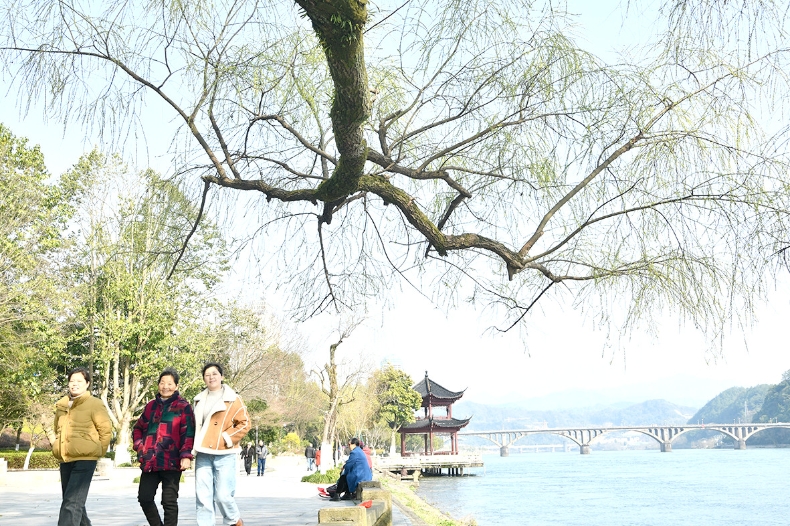 婷丁四月色妞妞春意盎然，花开满园，踏青赏景正当时