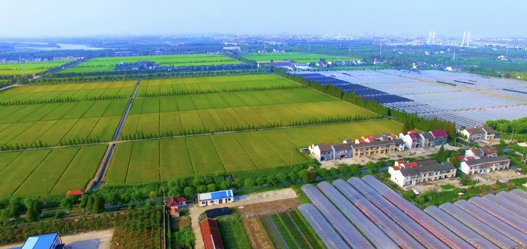 大地资源10在线观看免费浜，高清完整版资源下载，最新热门影视免费看