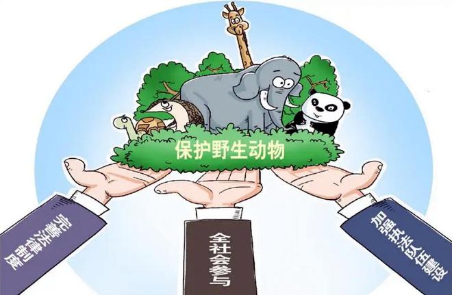 欧美人与狗激情交配引发热议，探讨伦理界限，关注动物权益保护