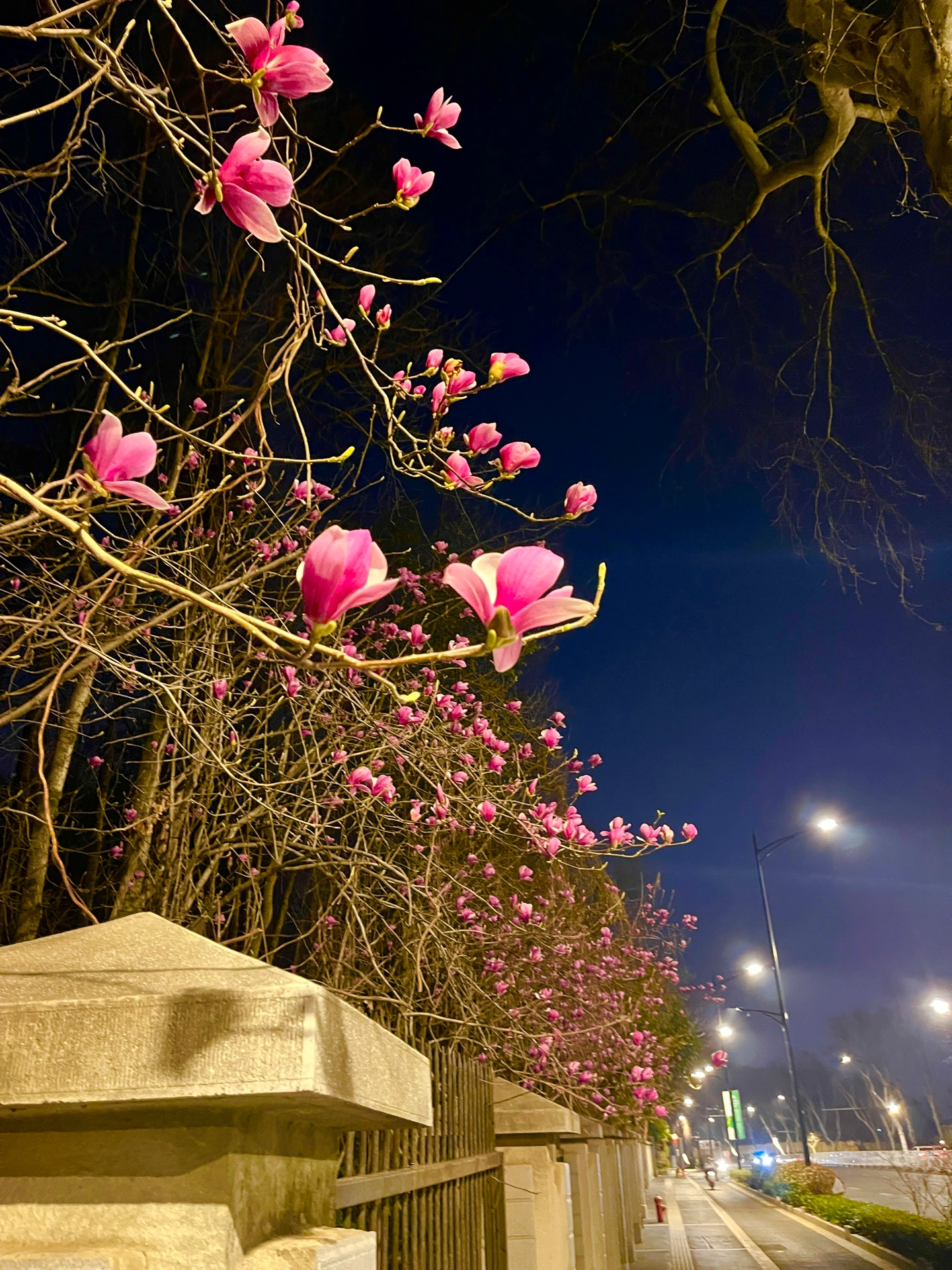 2.夜夜春夜夜爽，沉醉在月光下，感受温柔缠绵，让爱意永驻心间