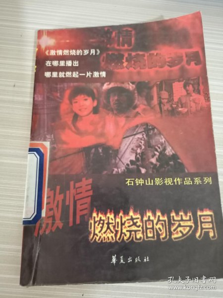 1.激情文学激情燃烧的岁月*