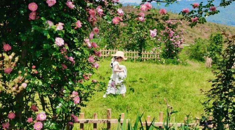 激情婷婷五月基地绽放夏日热情，探索五月秘密花园，发现激情与自然的完美融合