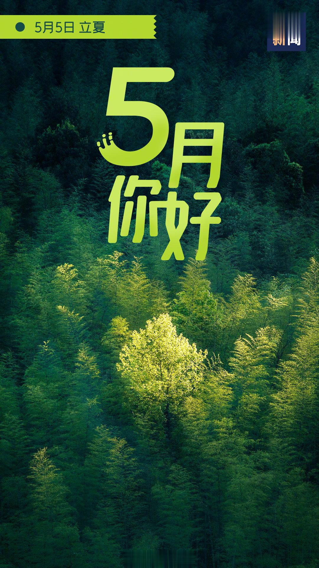 五月狠狠努力奋斗收获满满，让梦想绽放，不负青春时光