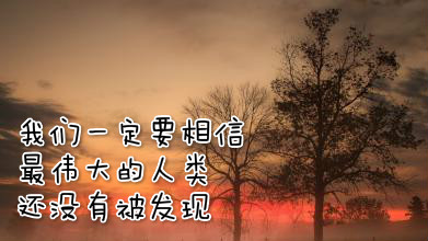 老熟女北岛玲B的传奇人生，动人故事，岁月沉淀的魅力