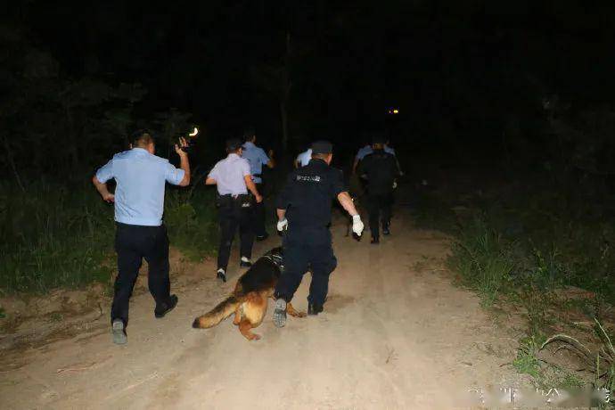 日本免费看片9.1揭露卖淫产业链，暗网交易内幕，警方突击抓捕现场