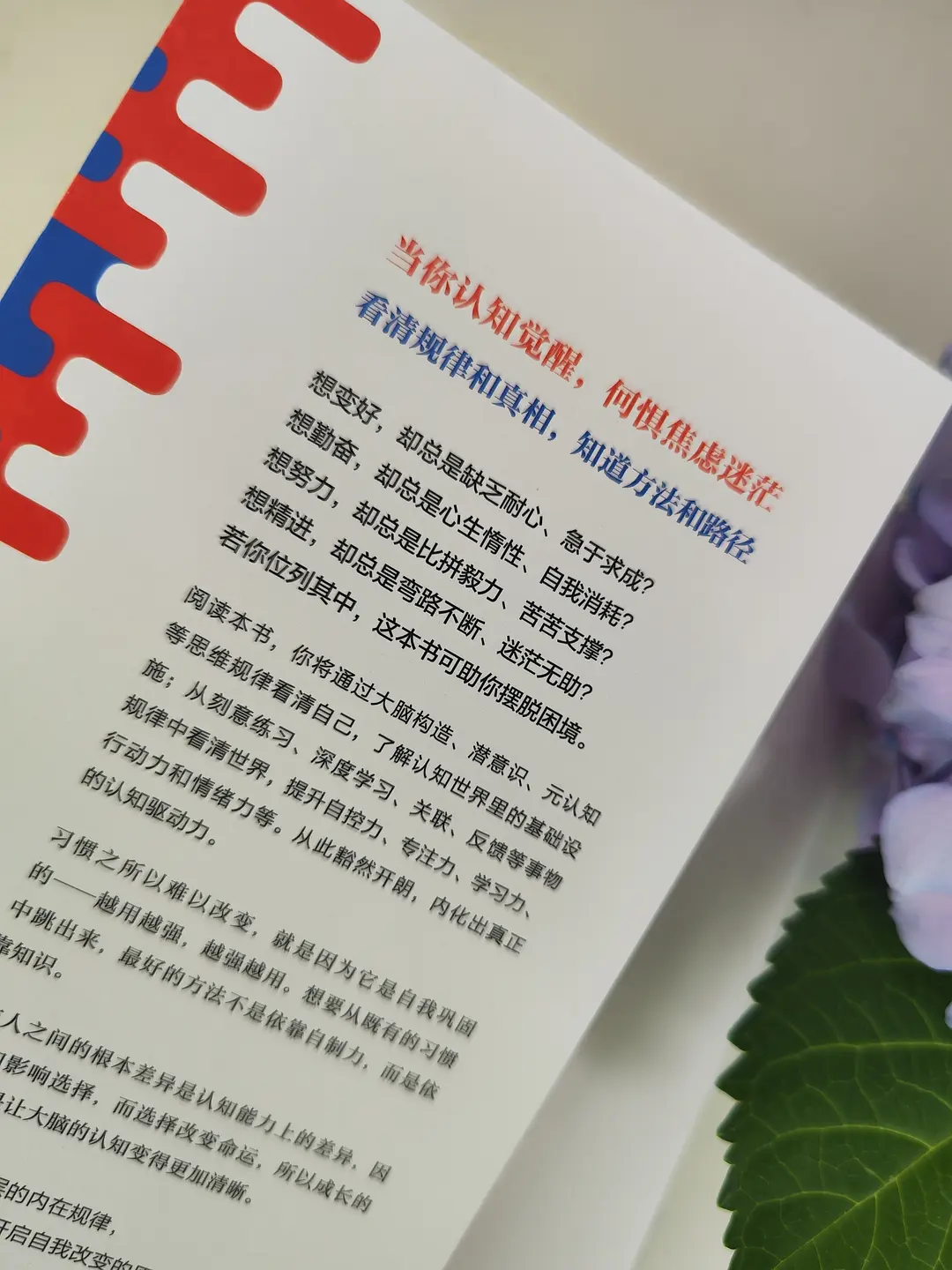 德国肥老太重口味美食挑战，黑暗料理新体验，你敢尝试吗