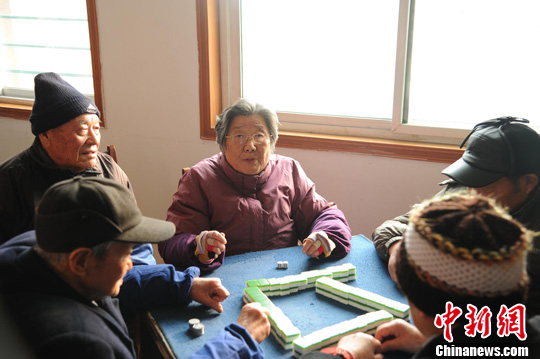 操老太太引发的社会热议，探讨老年人权益保护，关注晚年生活品质