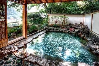 日本高潮樱花季绝美绽放，富士山脚下温泉体验，东京夜景浪漫巡礼