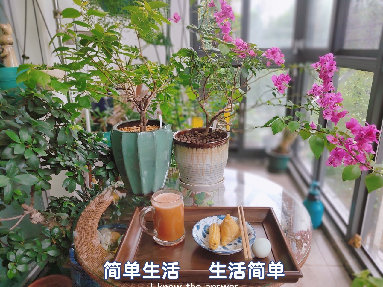 自拍手碰碰播放国内热门自拍手碰碰播放，精彩瞬间，一键分享，轻松记录生活美好