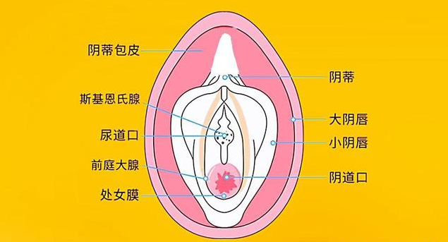 破處女苞一级A片浜震撼上线，全网独家高清资源，极致体验不容错过