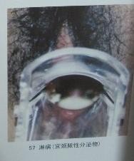 蜜臀精品色无码蜜臀诱惑，极致翘臀写真，性感曲线尽显，无码高清收藏