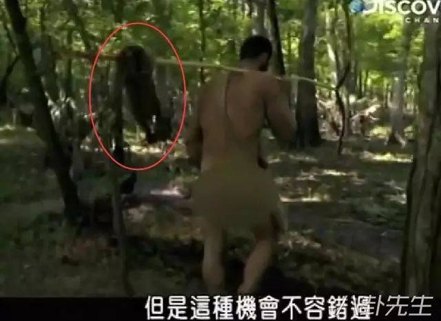 裸体三级蓬莱山真人秀在线火爆全网，揭秘幕后拍摄花絮，挑战视觉极限