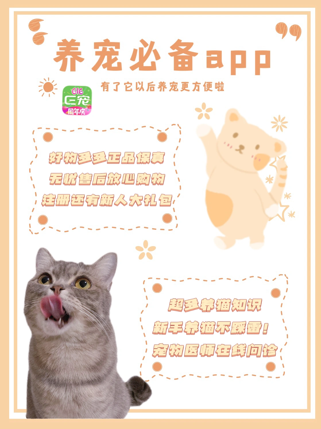 毛多多水多多带来欢乐时光，轻松养宠，快乐生活，享受每一天