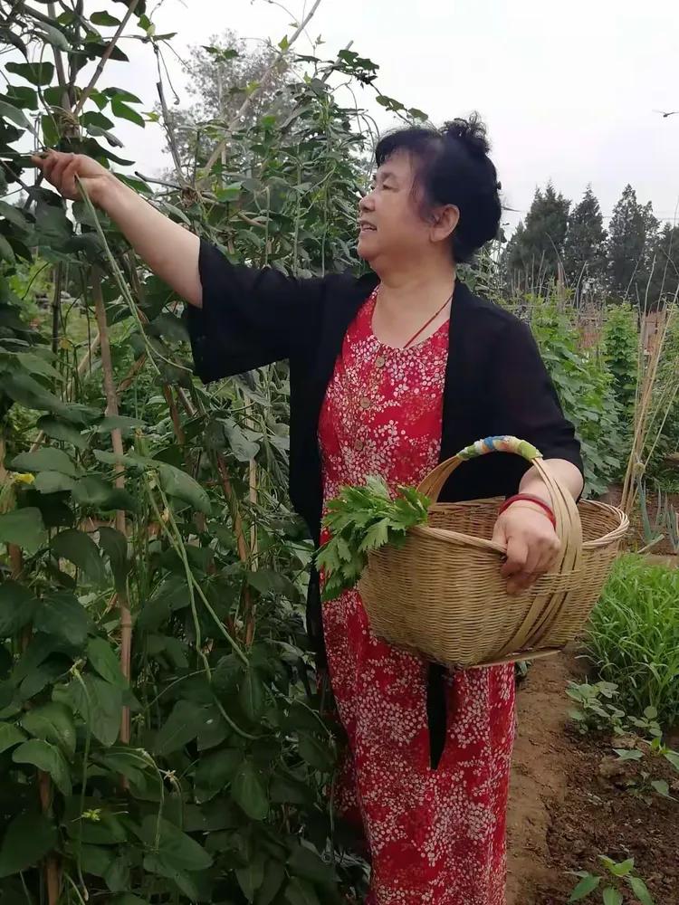 农村熟妇的田园生活日常,洗衣做饭下地干活,朴实无华却充满温情 农村熟妇的田园生活日常,洗衣做饭下地干活,朴实无华却充满温情