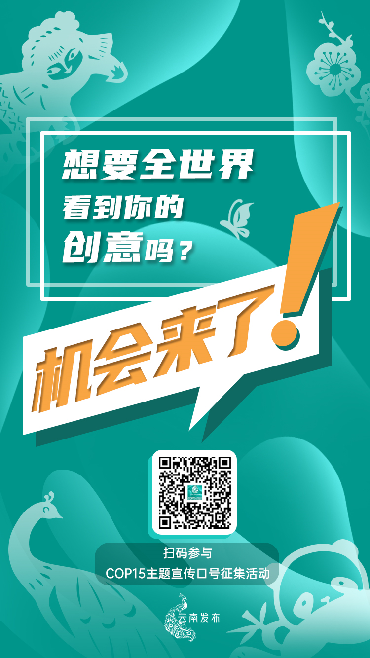 欧美中文视频一区精彩内容尽享，热门影视推荐，独家资源等你来发现