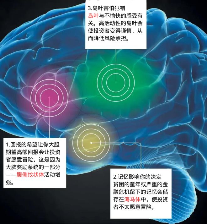 狡猾鱼鱼的秘密生活，探索水下世界，发现隐藏智慧