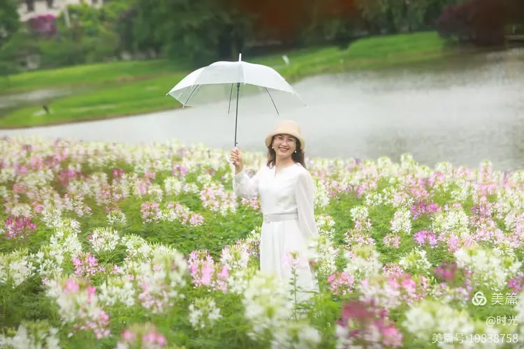 涩五月婷婷绽放青春光芒，初夏浪漫邂逅，定格最美时光瞬间