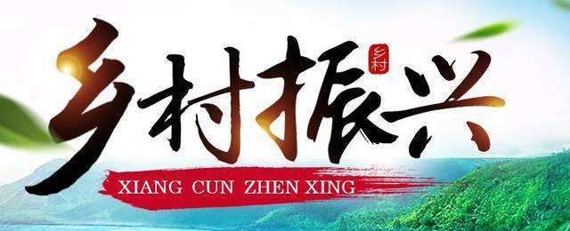 农村AV助力乡村振兴新路径，探索农业现代化，打造特色产业新模式