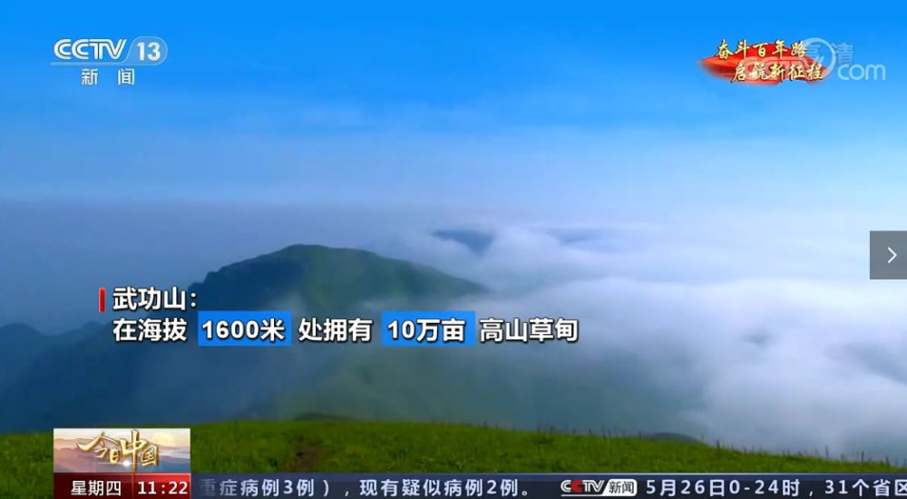 高秀英的屁股眼传奇故事，揭秘惊人内幕，震撼全网