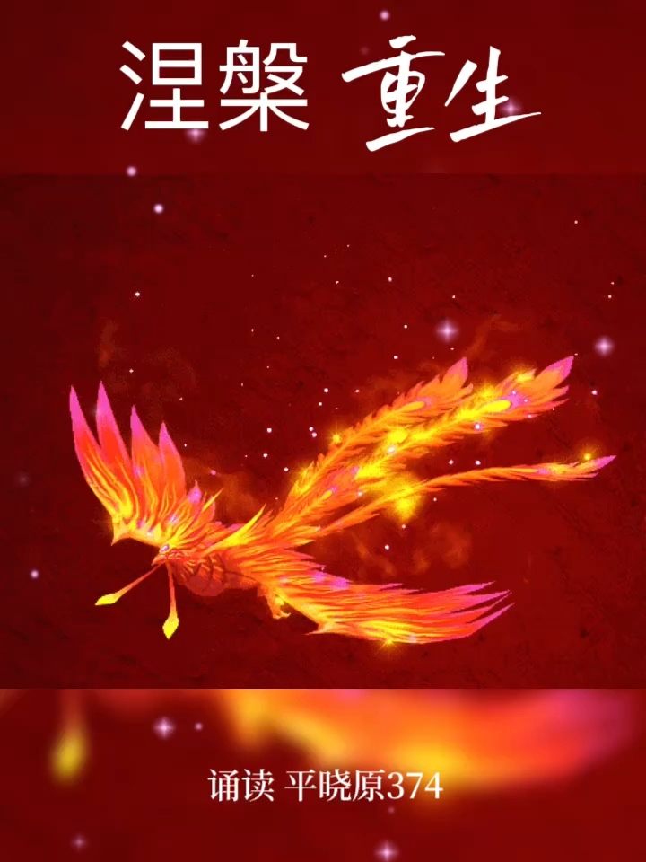 2.寂寞少妇出国寻梦，异乡漂泊冷暖自知，终遇真爱涅槃重生
