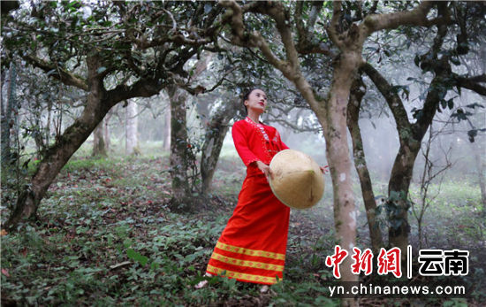 青青草一级a片展现自然之美，探索清新世界，感受生命活力