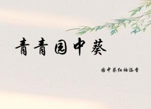 青青久久26的精彩故事，温暖人心，传递爱与希望，展现美好生活