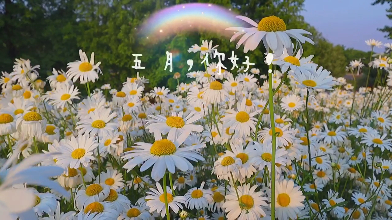 五月